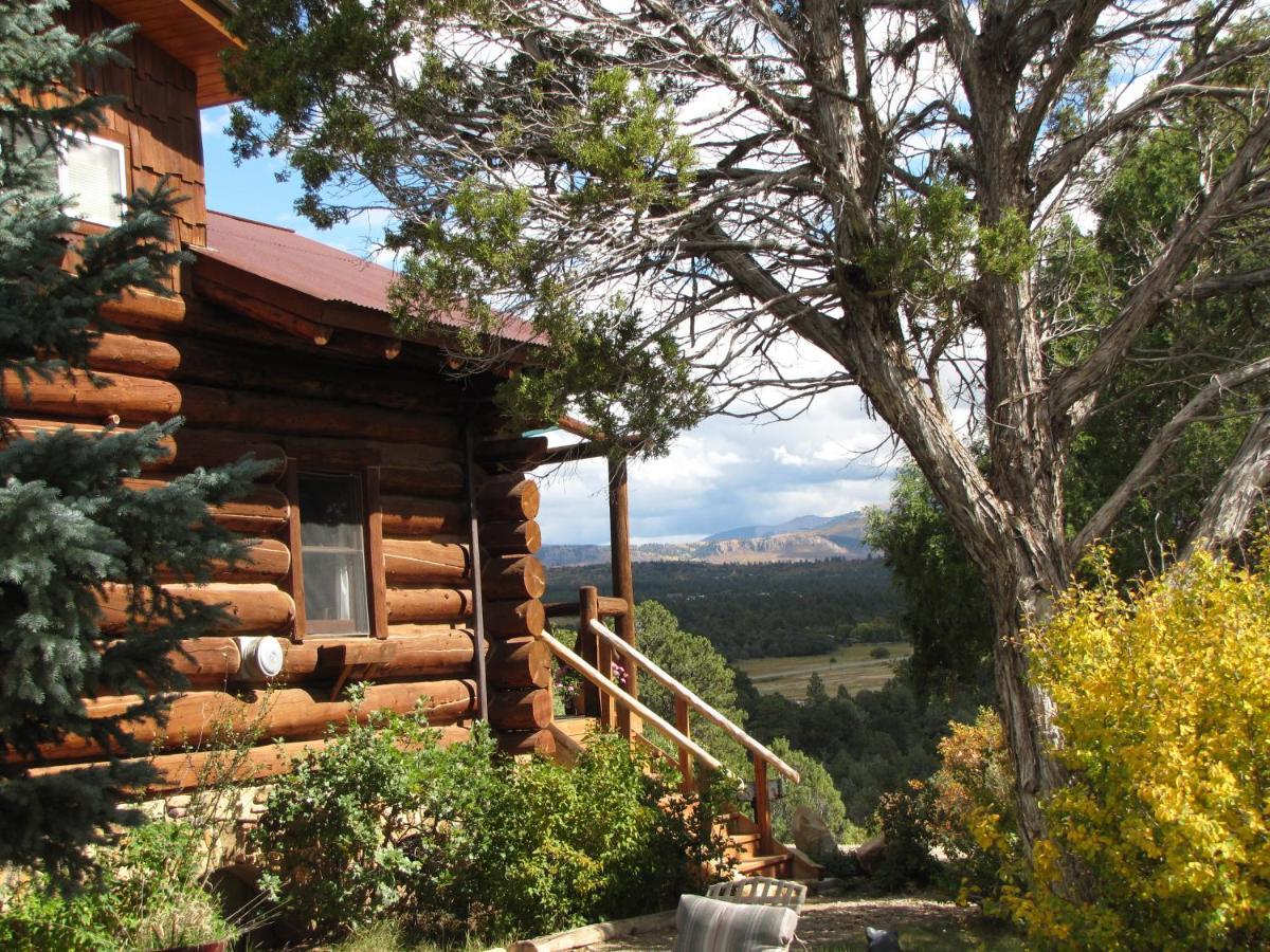 Starry Nights Ranch Bed & Breakfast Mancos Экстерьер фото