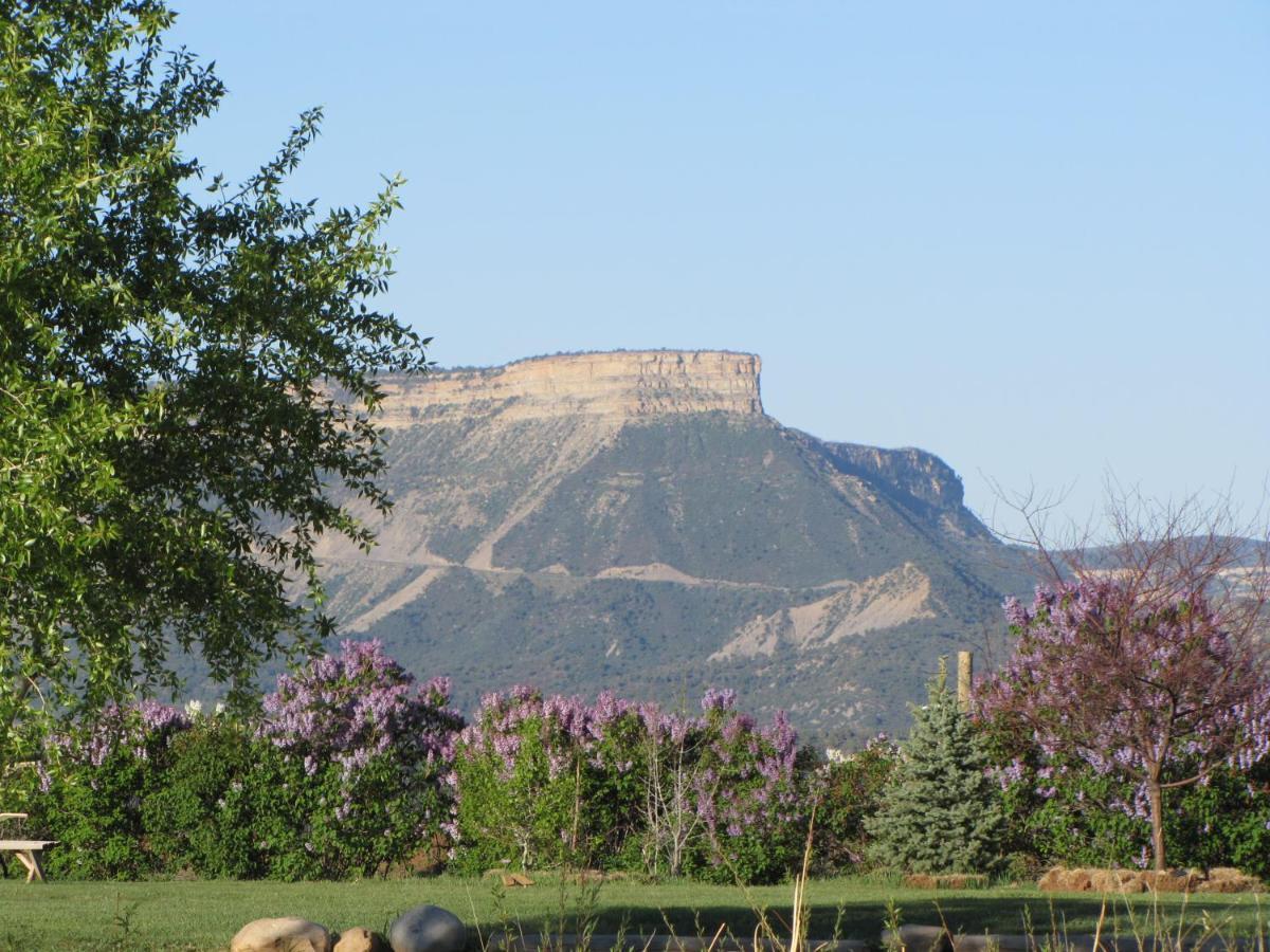 Bed and Breakfast Starry Nights Ranch Bed & Breakfast Mancos Экстерьер фото